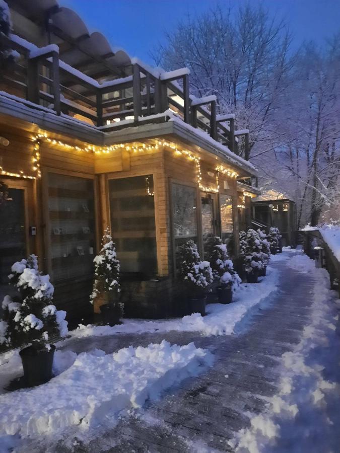 ブラショフ Skay Loft Bed & Breakfast エクステリア 写真