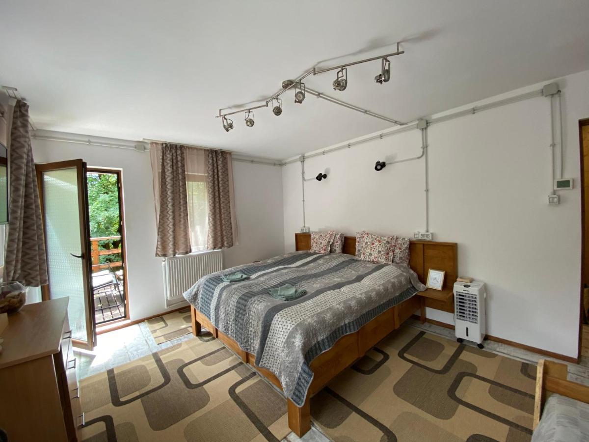 ブラショフ Skay Loft Bed & Breakfast エクステリア 写真