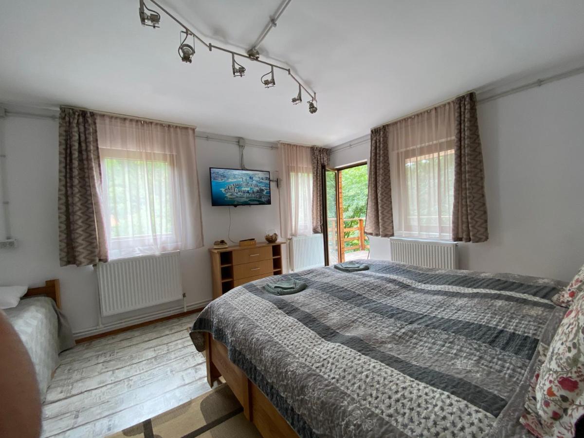 ブラショフ Skay Loft Bed & Breakfast エクステリア 写真