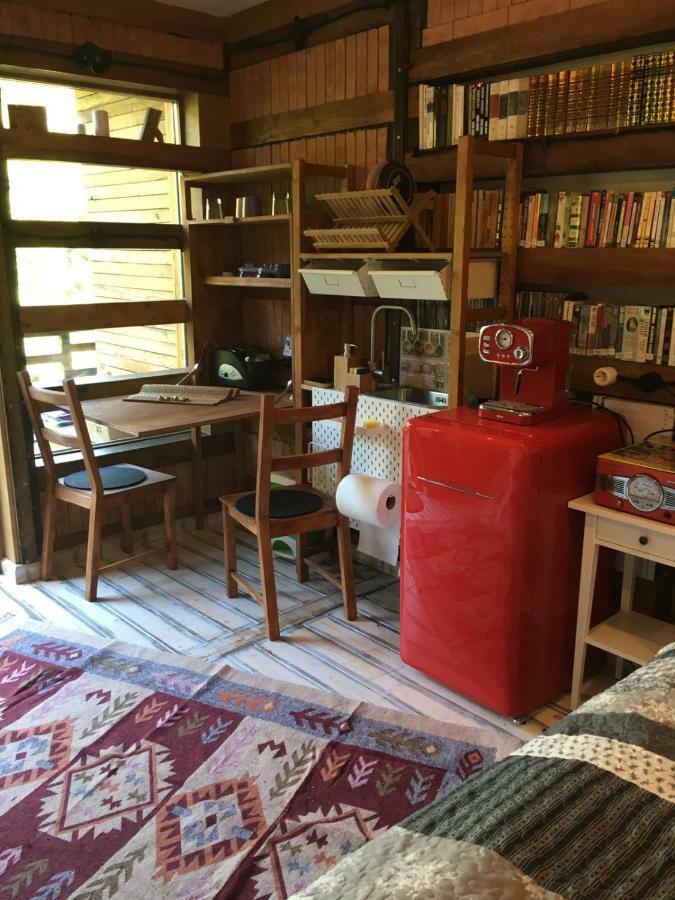 ブラショフ Skay Loft Bed & Breakfast エクステリア 写真