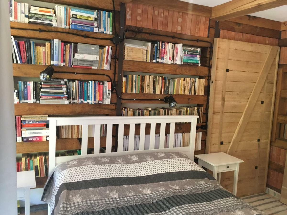 ブラショフ Skay Loft Bed & Breakfast エクステリア 写真