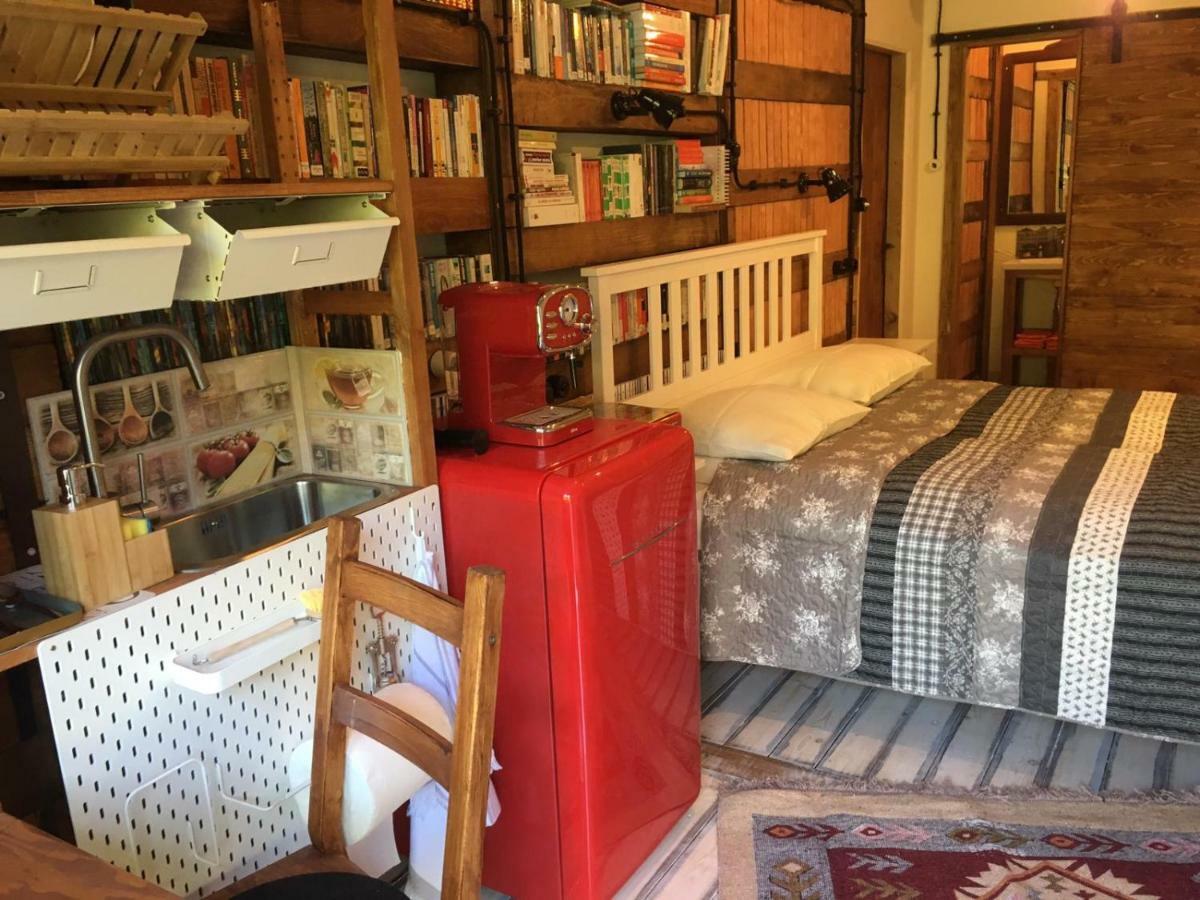 ブラショフ Skay Loft Bed & Breakfast エクステリア 写真