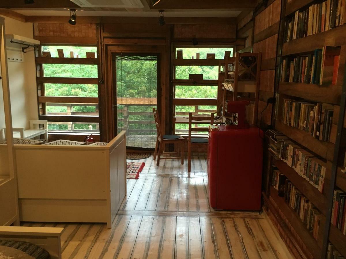 ブラショフ Skay Loft Bed & Breakfast エクステリア 写真