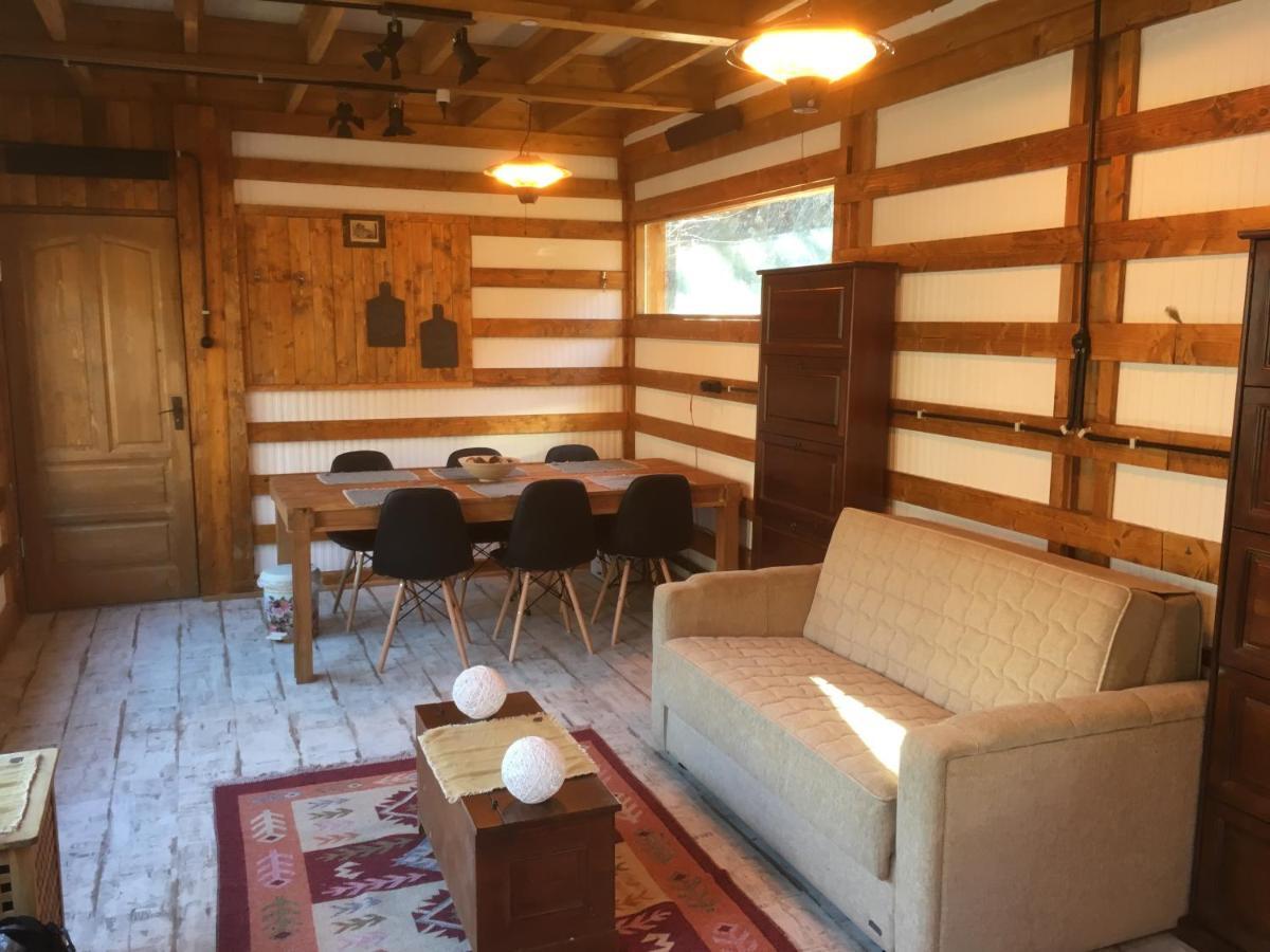ブラショフ Skay Loft Bed & Breakfast エクステリア 写真